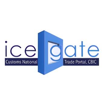 Icegate Registration icon