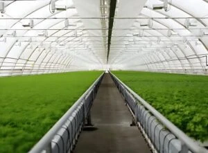 ISI Mark for Agro Textiles